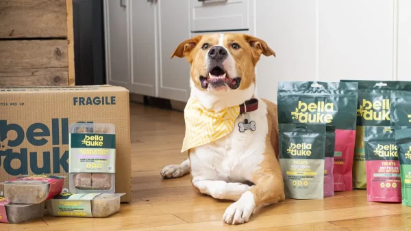 What I Learned When I Met Mark Scott of Bella + Duke